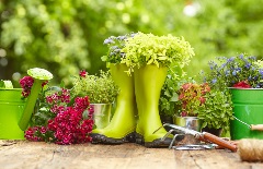 Gardening tools and flowers on a wooden table.